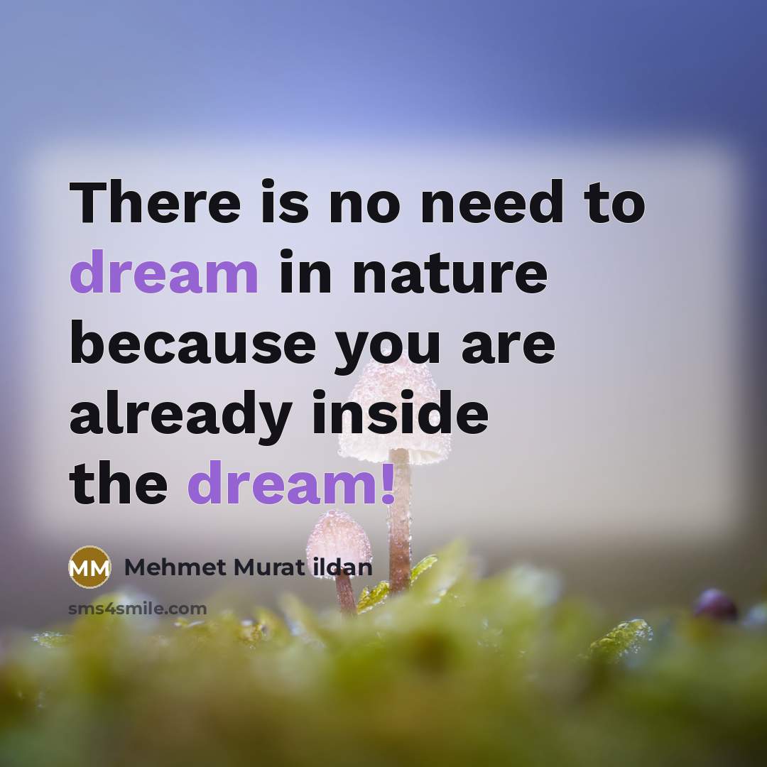 “There is no need to dream in nature because you…” quote by Mehmet Murat Ildan