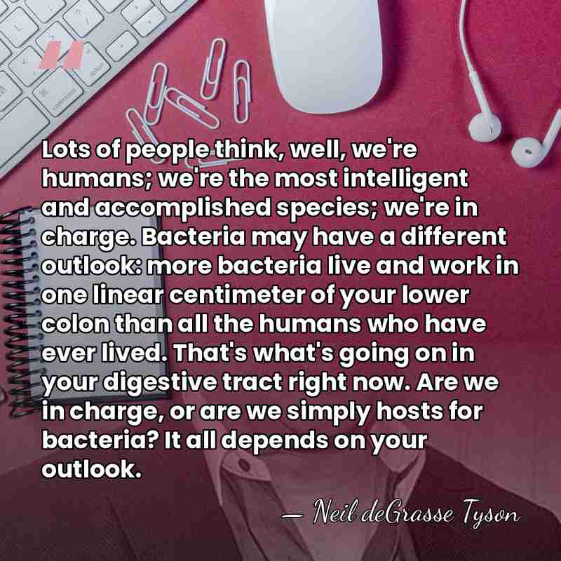 Lots of people think, well, we're humans; we're the most intelligent and&hellip; - Neil deGrasse Tyson