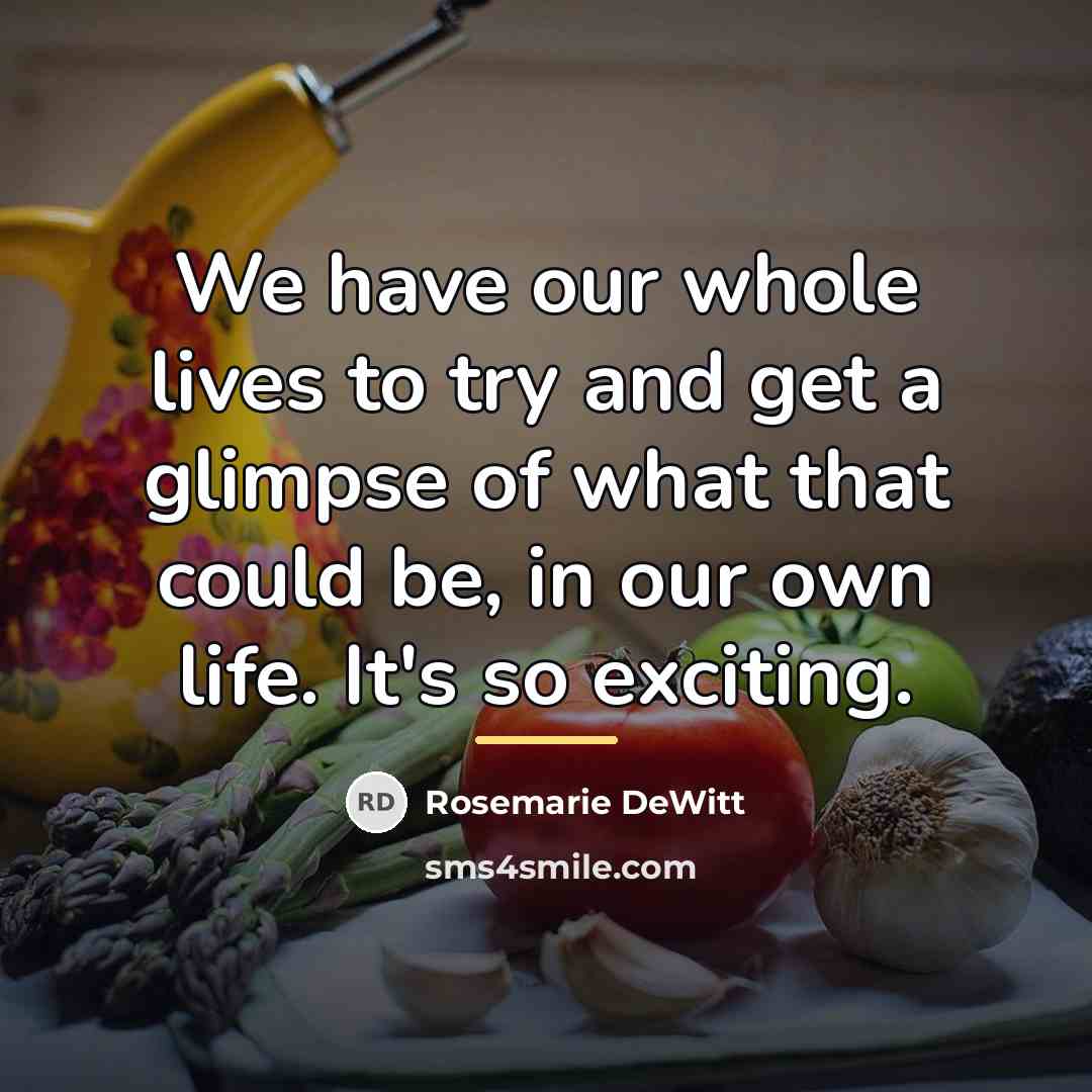“We have our whole lives to try and get a…” quote by Rosemarie DeWitt