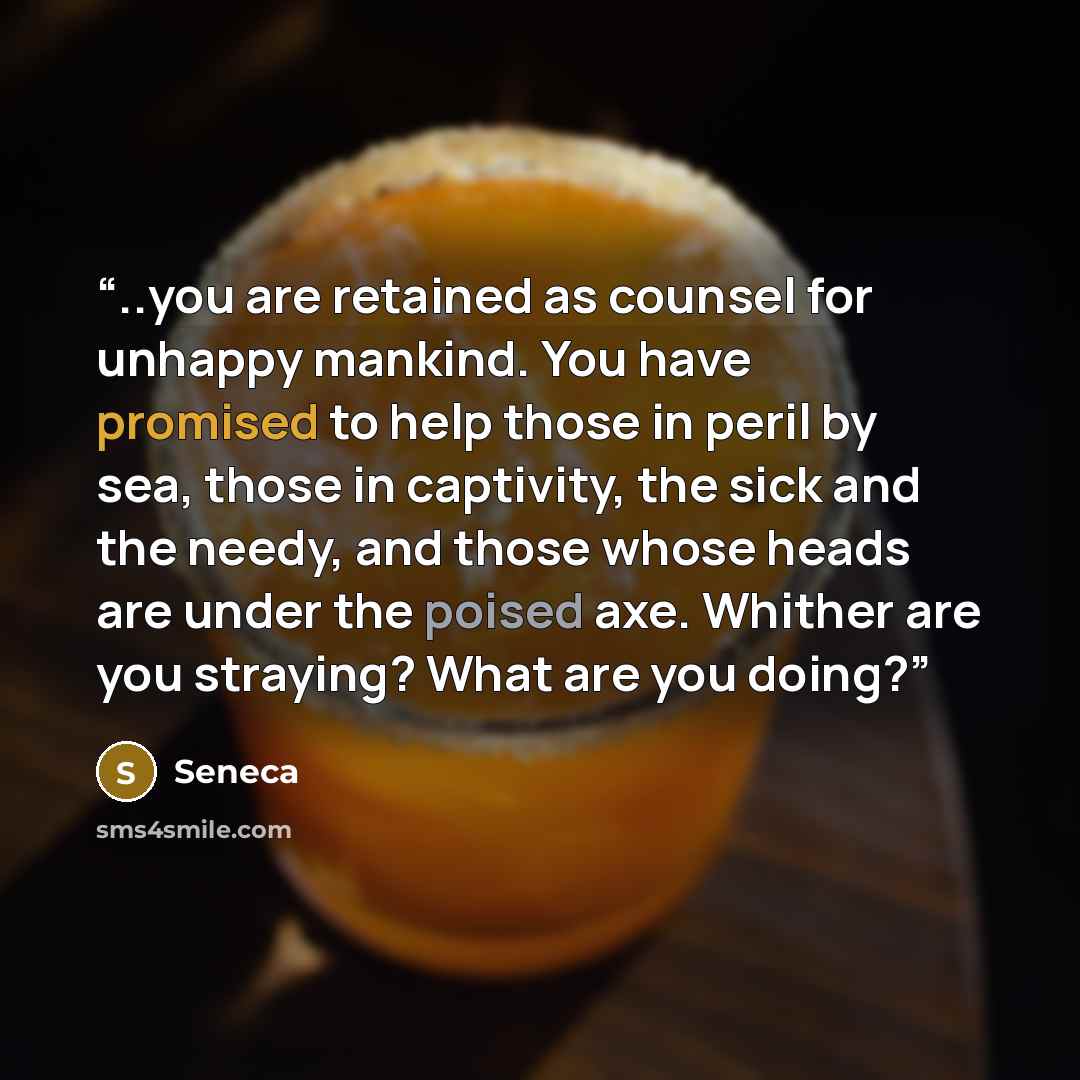 “..you are retained as counsel for unhappy mankind. You have promised to help those in peril by sea, those in captivity, the sick and the needy, and those whose heads are under the poised axe. Whither are you straying? What are you doing?” quote by Seneca