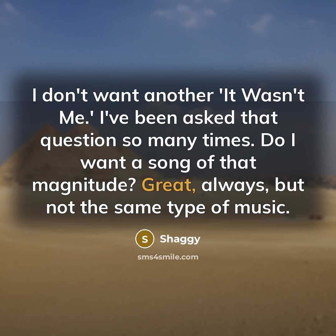 “I don't want another 'It Wasn't Me.' I've been asked…” quote by Shaggy