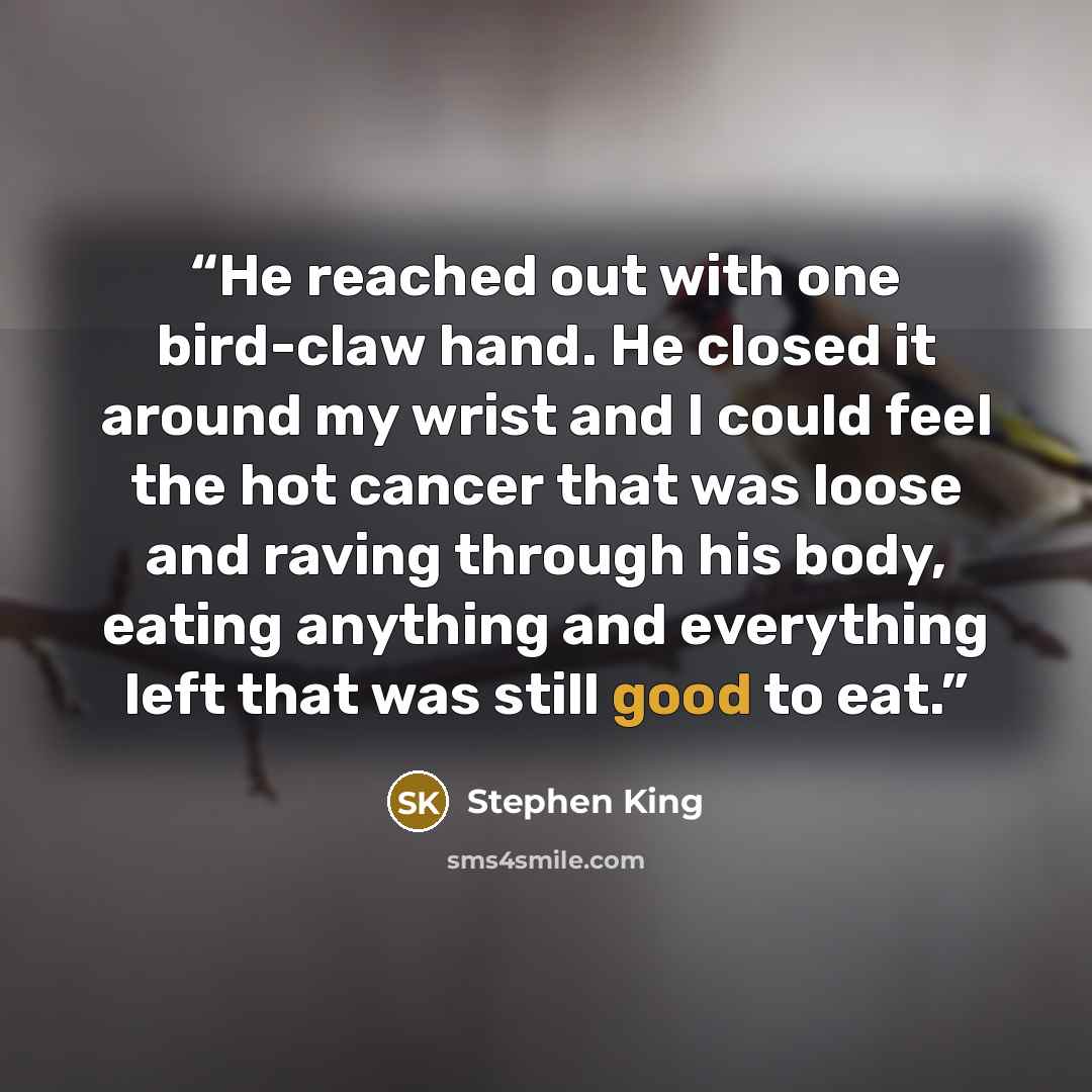 “He reached out with one bird-claw hand. He closed it around my wrist and I could feel the hot cancer that was loose and raving through his body, eating anything and everything left that was still good to eat.” quote by Stephen King