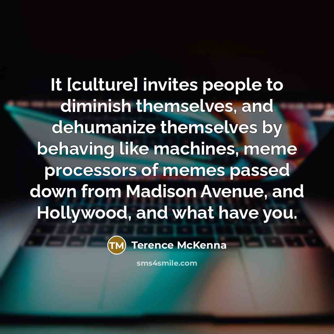 “It [culture] invites people to diminish themselves, and dehumanize themselves…” quote by Terence McKenna