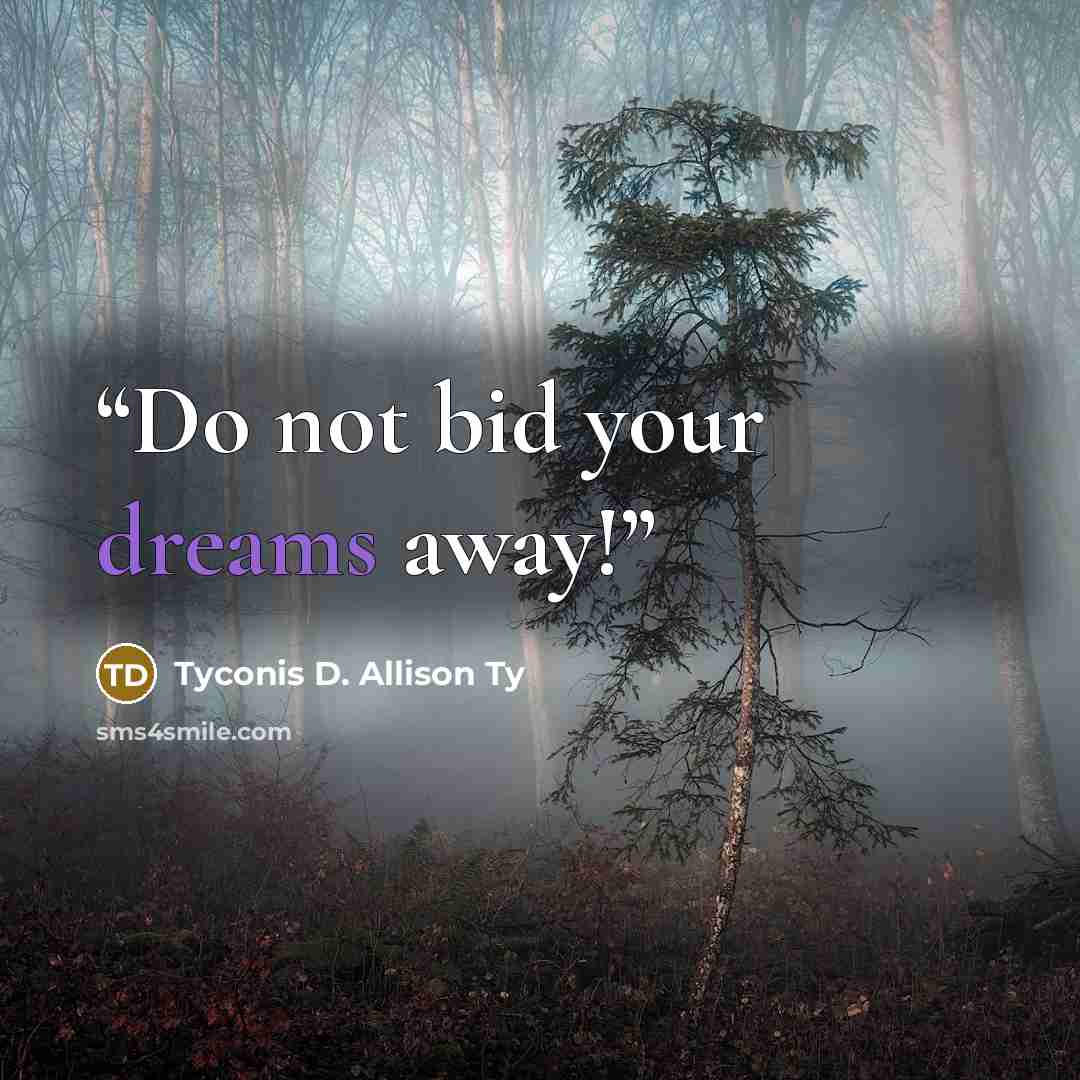 “Do not bid your dreams away!” quote by Tyconis D. Allison Ty