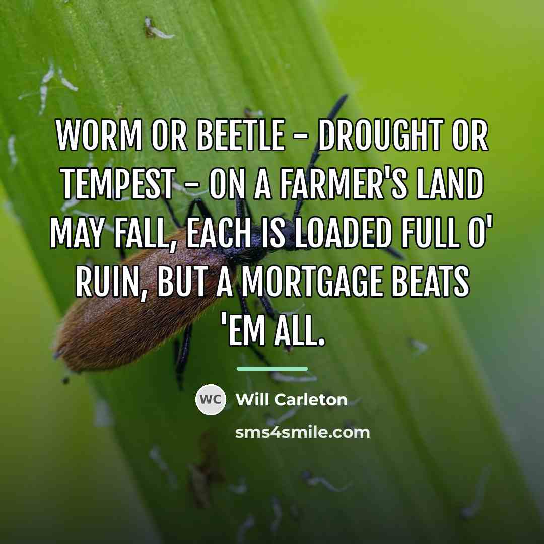 “Worm or beetle - drought or tempest - on a…” quote by Will Carleton