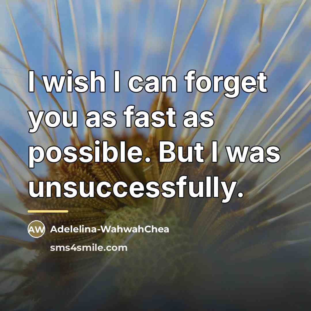 “I wish I can forget you as fast as possible.…” quote by Adelelina-WahwahChea