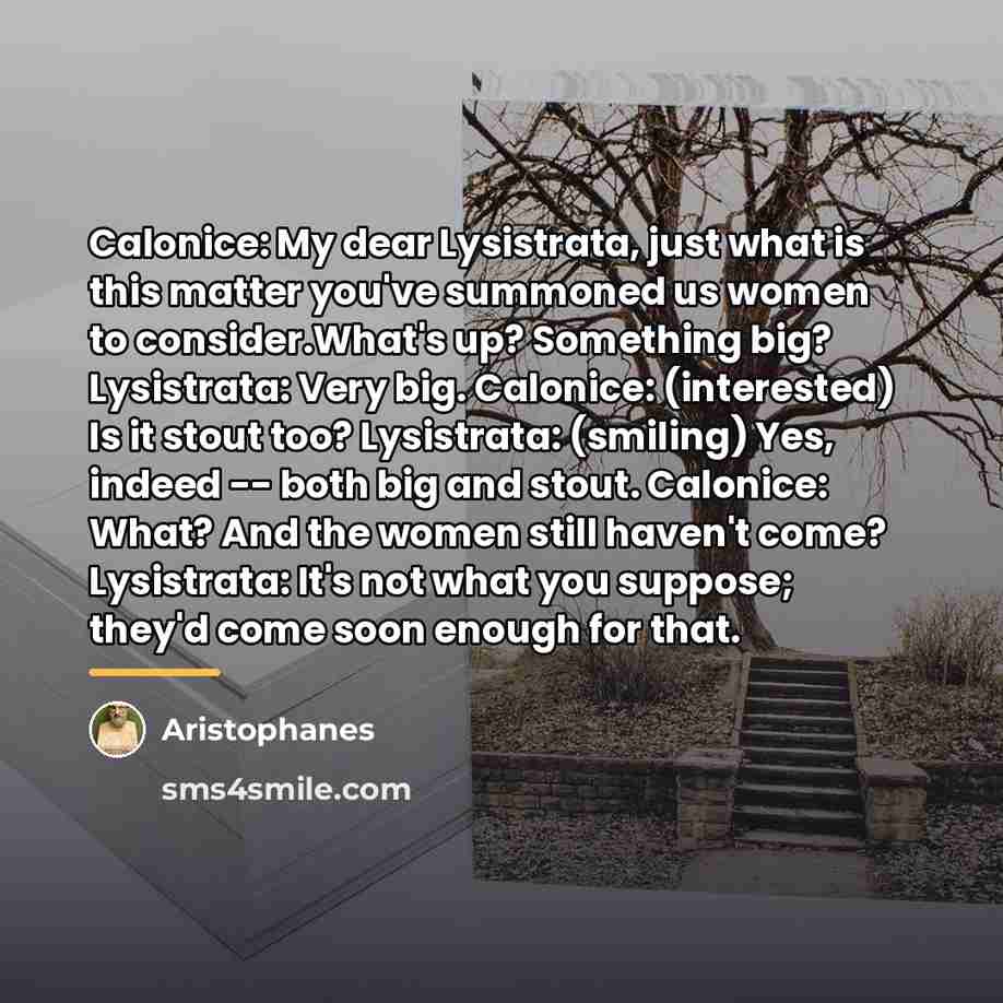 “Calonice: My dear Lysistrata, just what is this matter you've…” quote by Aristophanes