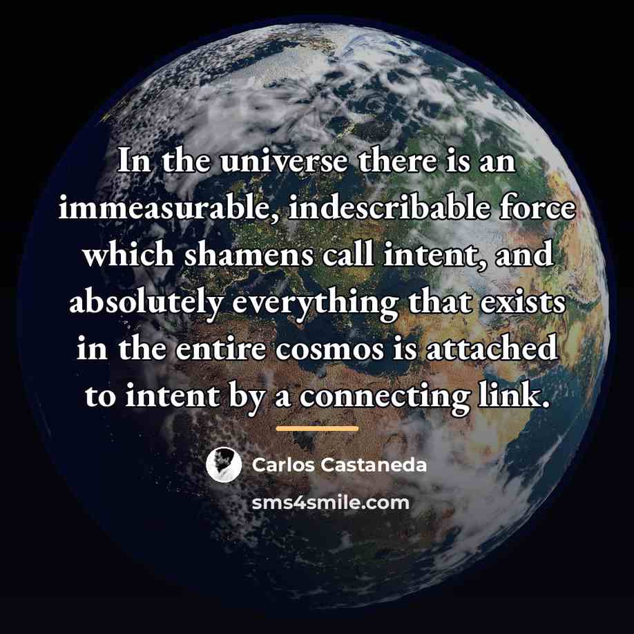 “In the universe there is an immeasurable, indescribable force which…” quote by Carlos Castaneda