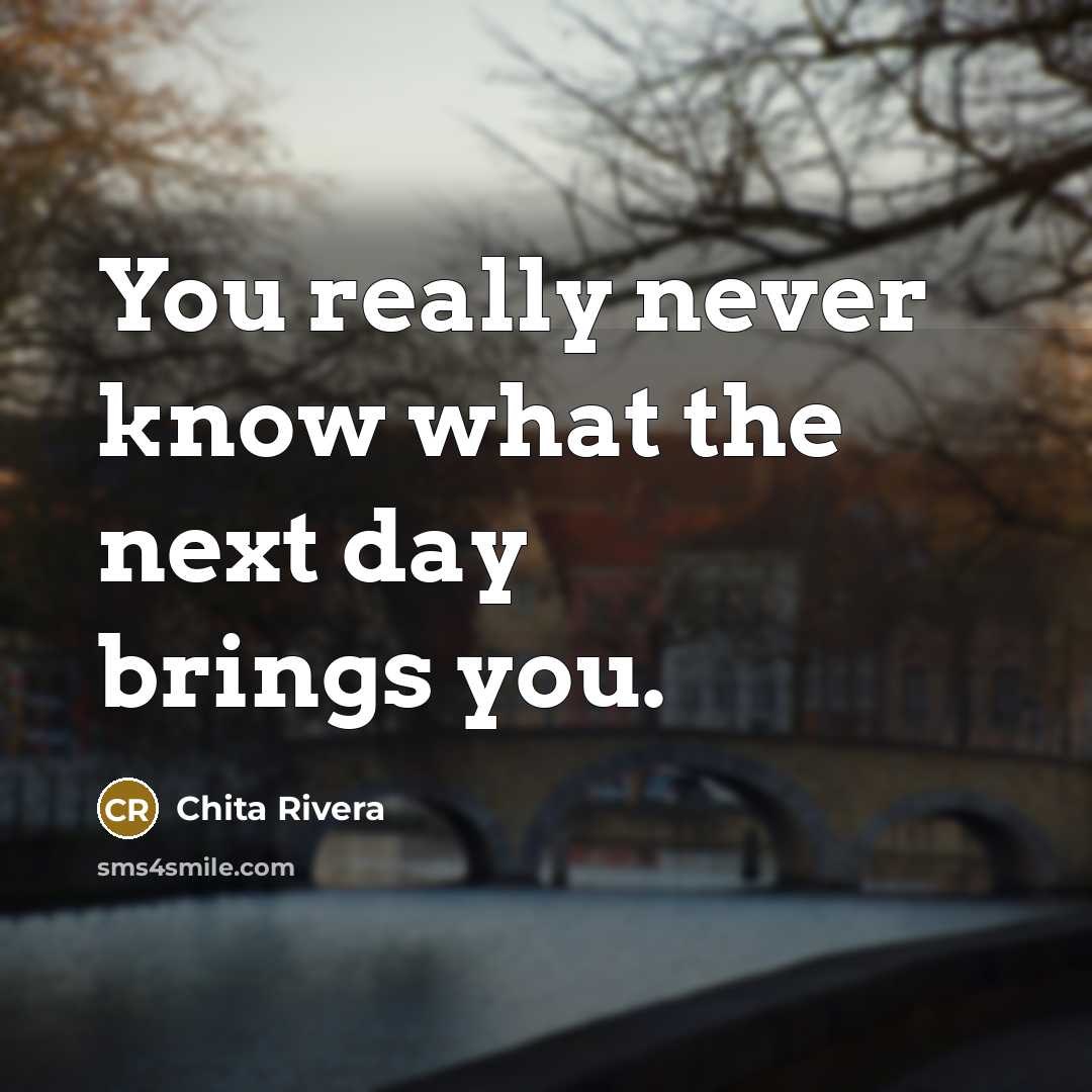 “You really never know what the next day brings you.…” quote by Chita Rivera