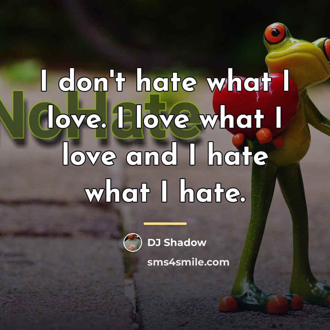 “I don't hate what I love. I love what I…” quote by DJ Shadow