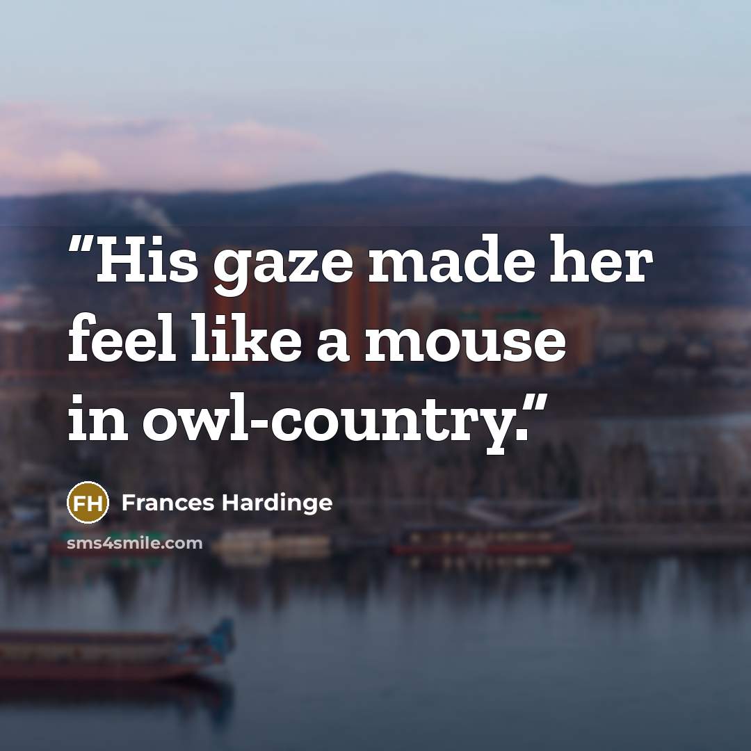 “His gaze made her feel like a mouse in owl-country.” quote by Frances Hardinge