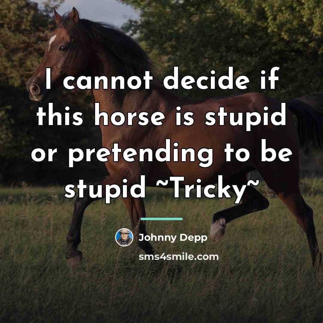 “I cannot decide if this horse is stupid or pretending…” quote by Johnny Depp