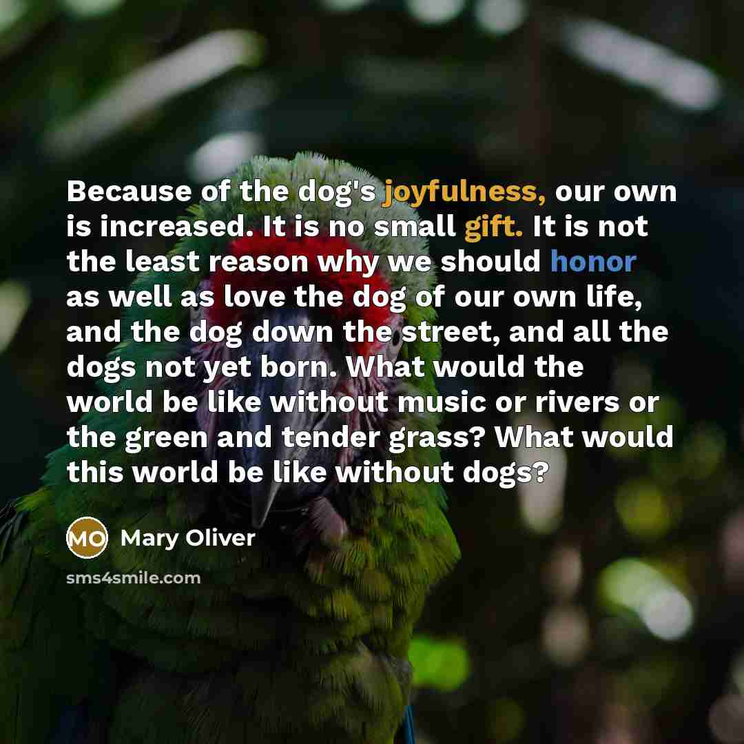 “Because of the dog's joyfulness, our own is increased. It is no small gift. It is not the least reason why we should honor as well as love the dog of our own life, and the dog down the street, and all the dogs not yet born. What would the world be like without music or rivers or the green and…” quote by Mary Oliver