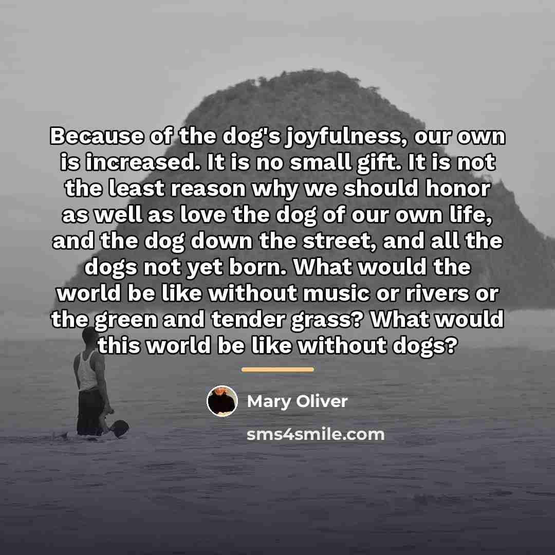 “Because of the dog's joyfulness, our own is increased. It…” quote by Mary Oliver