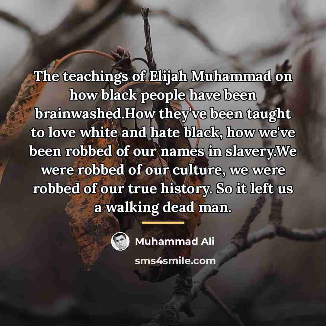 “The teachings of Elijah Muhammad on how black people have…” quote by Muhammad Ali