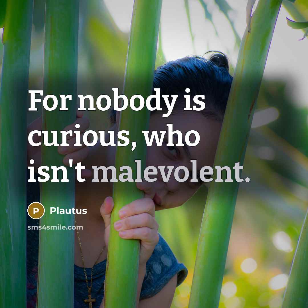 “For nobody is curious, who isn't malevolent.…” quote by Plautus