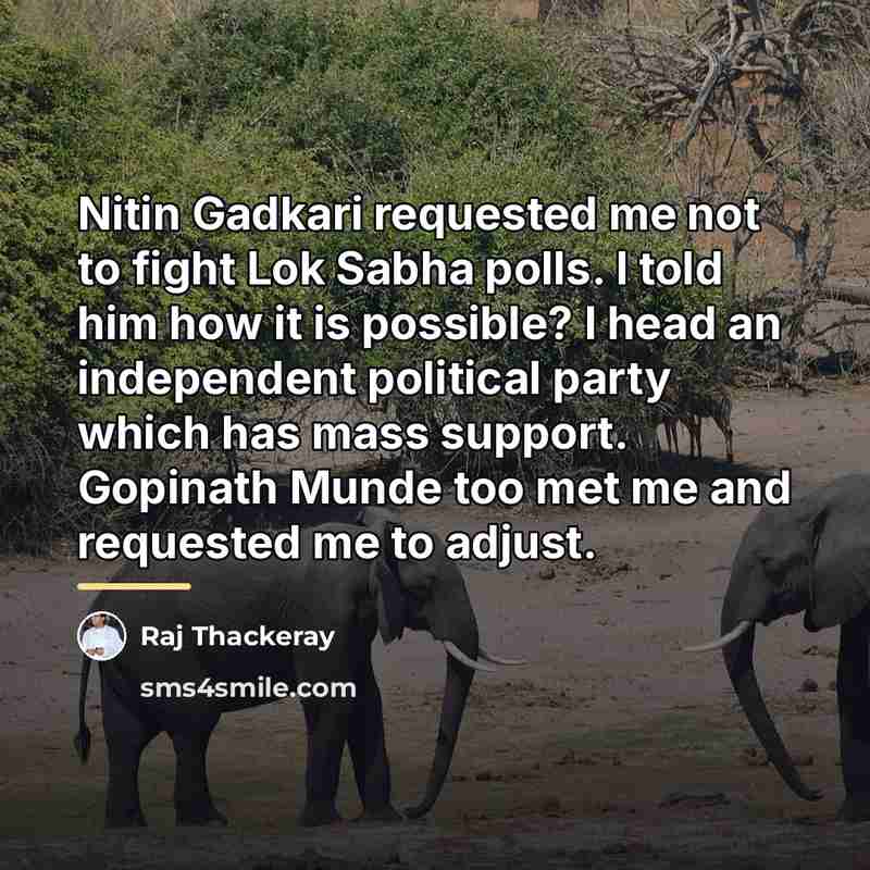 “Nitin Gadkari requested me not to fight Lok Sabha polls.…” quote by Raj Thackeray