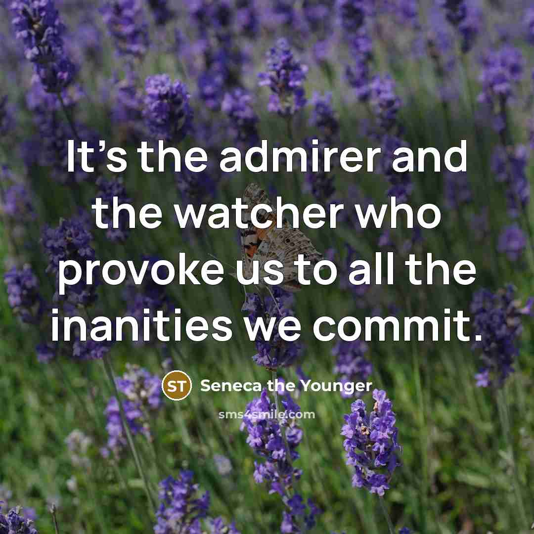 “It's the admirer and the watcher who provoke us to…” quote by Seneca the Younger