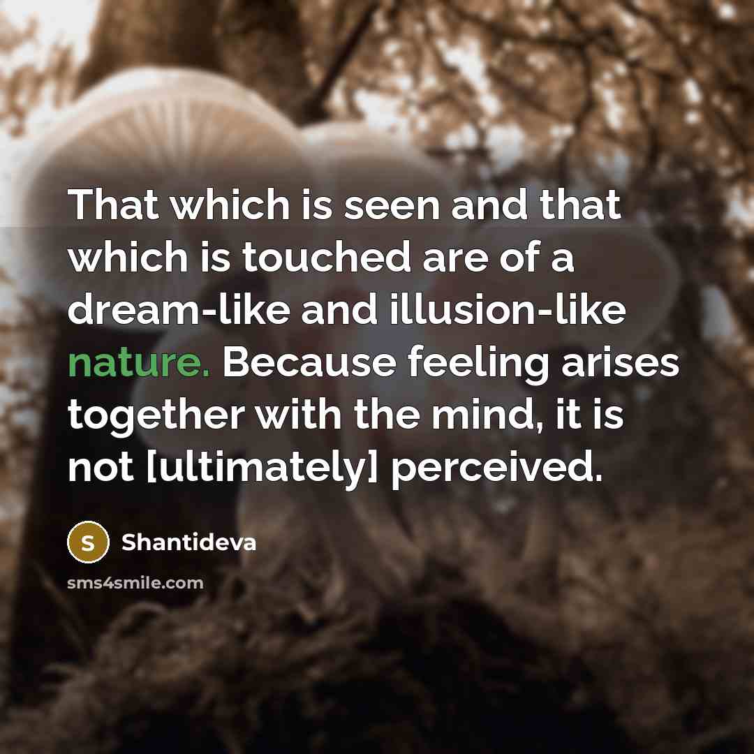 “That which is seen and that which is touched are…” quote by Shantideva