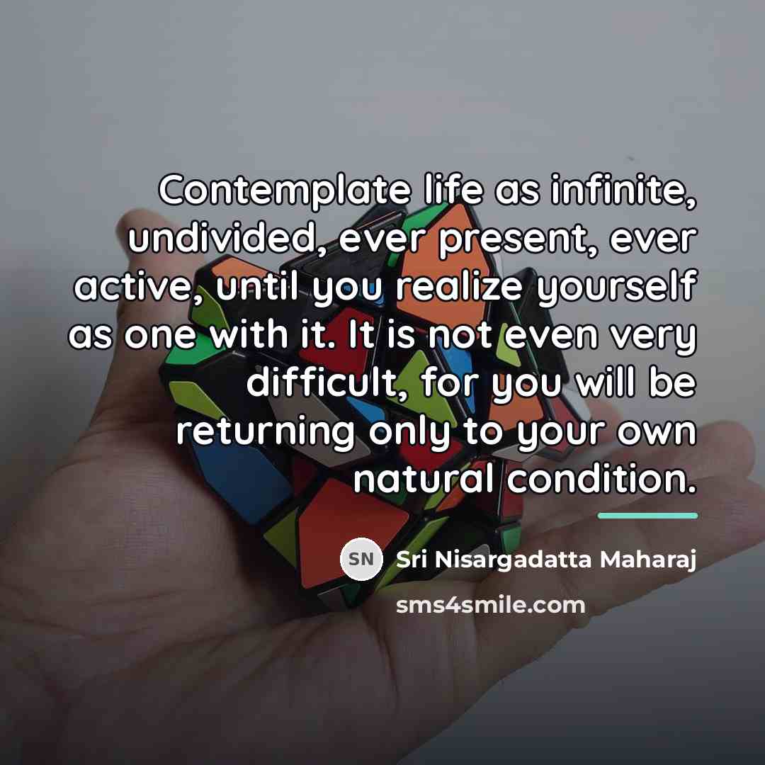 “Contemplate life as infinite, undivided, ever present, ever active, until…” quote by Sri Nisargadatta Maharaj