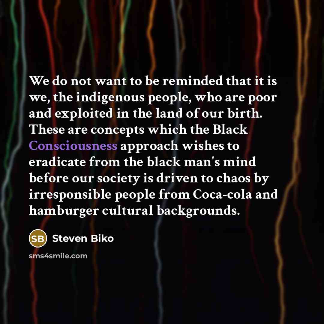 “We do not want to be reminded that it is…” quote by Steven Biko