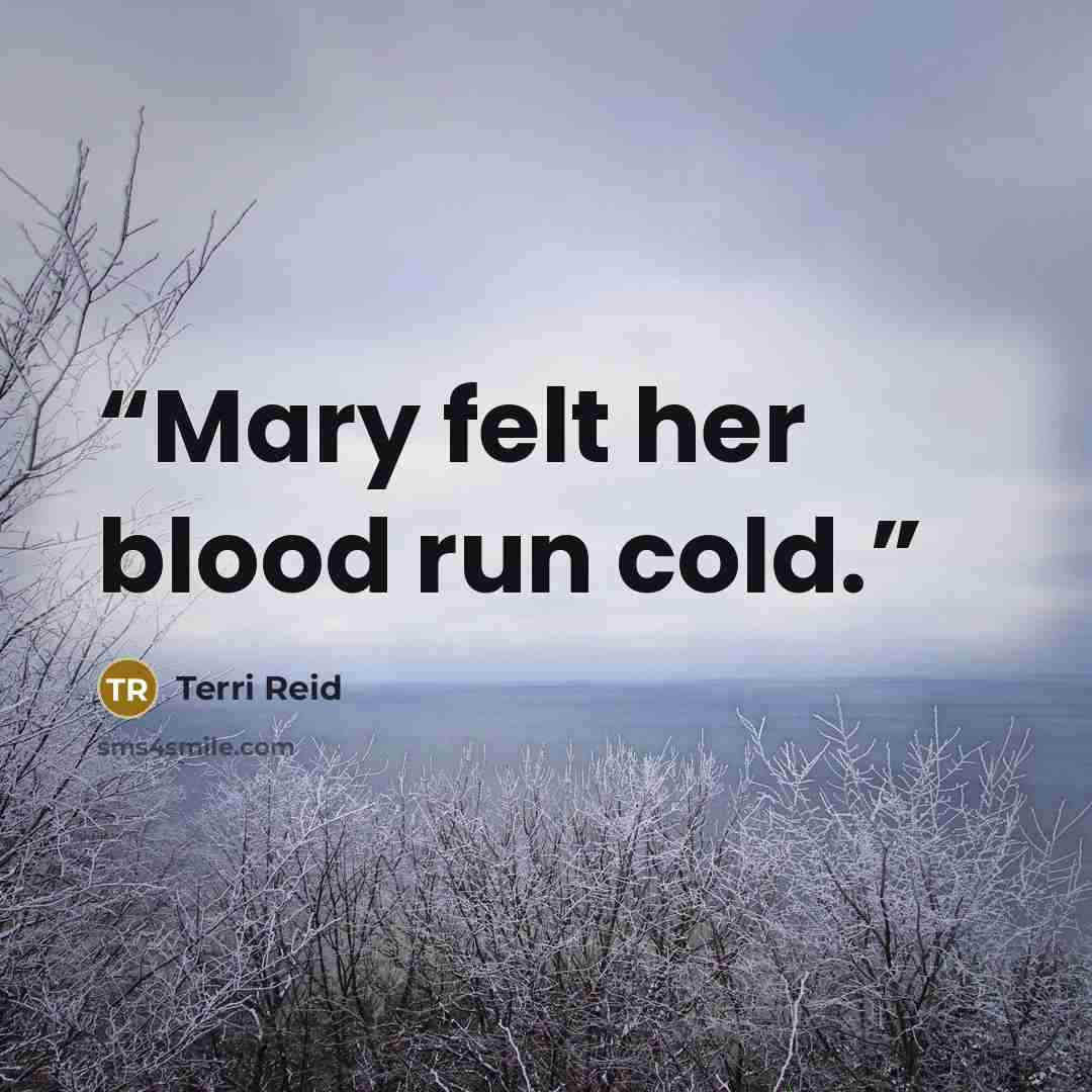 “Mary felt her blood run cold.” quote by Terri Reid