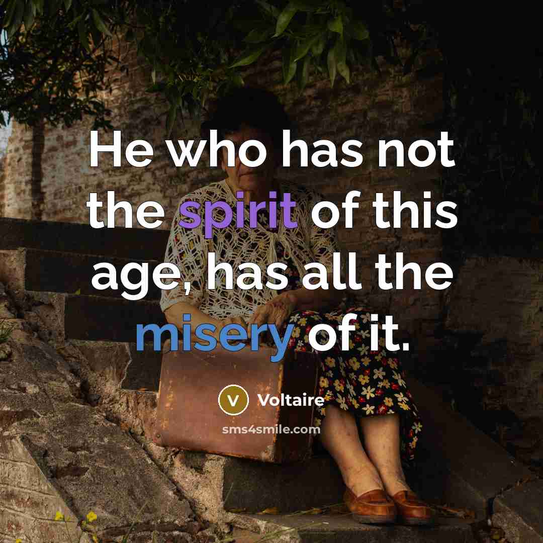 “He who has not the spirit of this age, has…” quote by Voltaire
