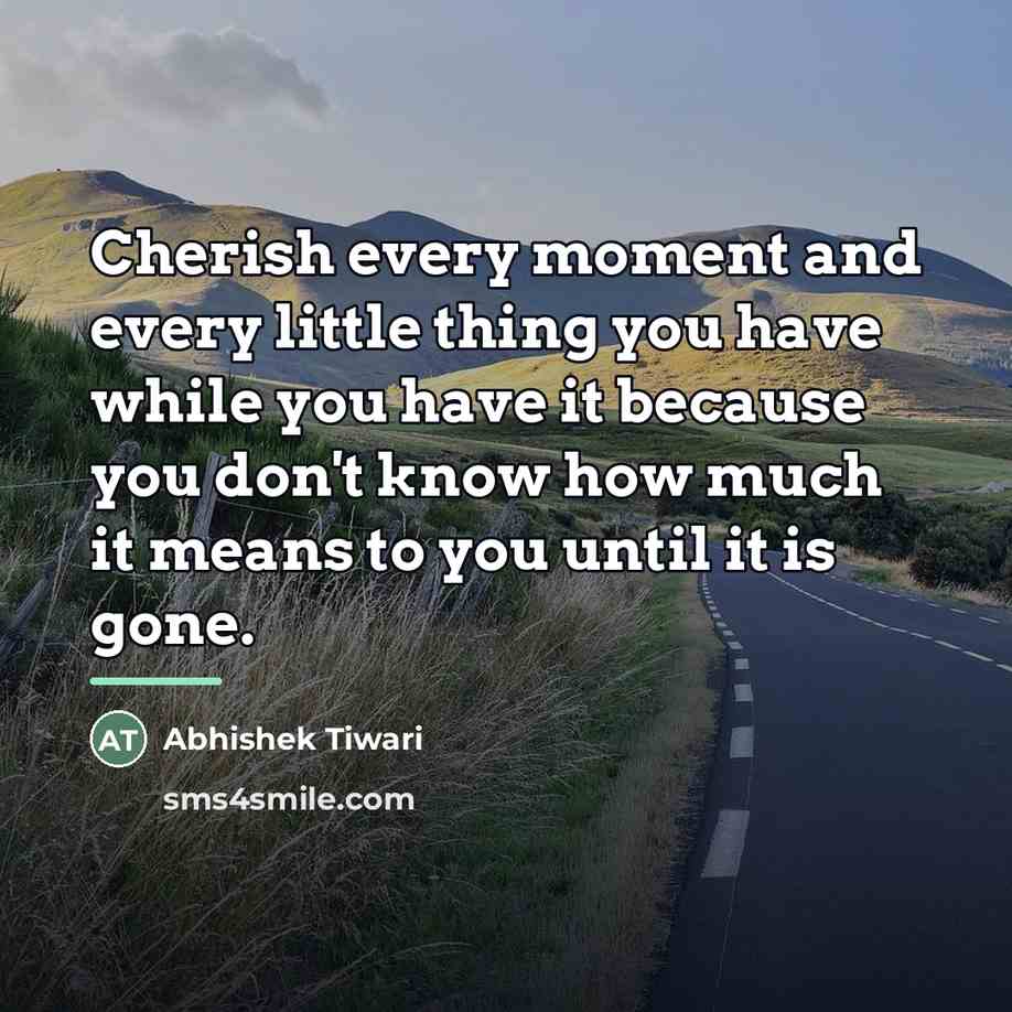 “Cherish every moment and every little thing you have while…” quote by Abhishek Tiwari