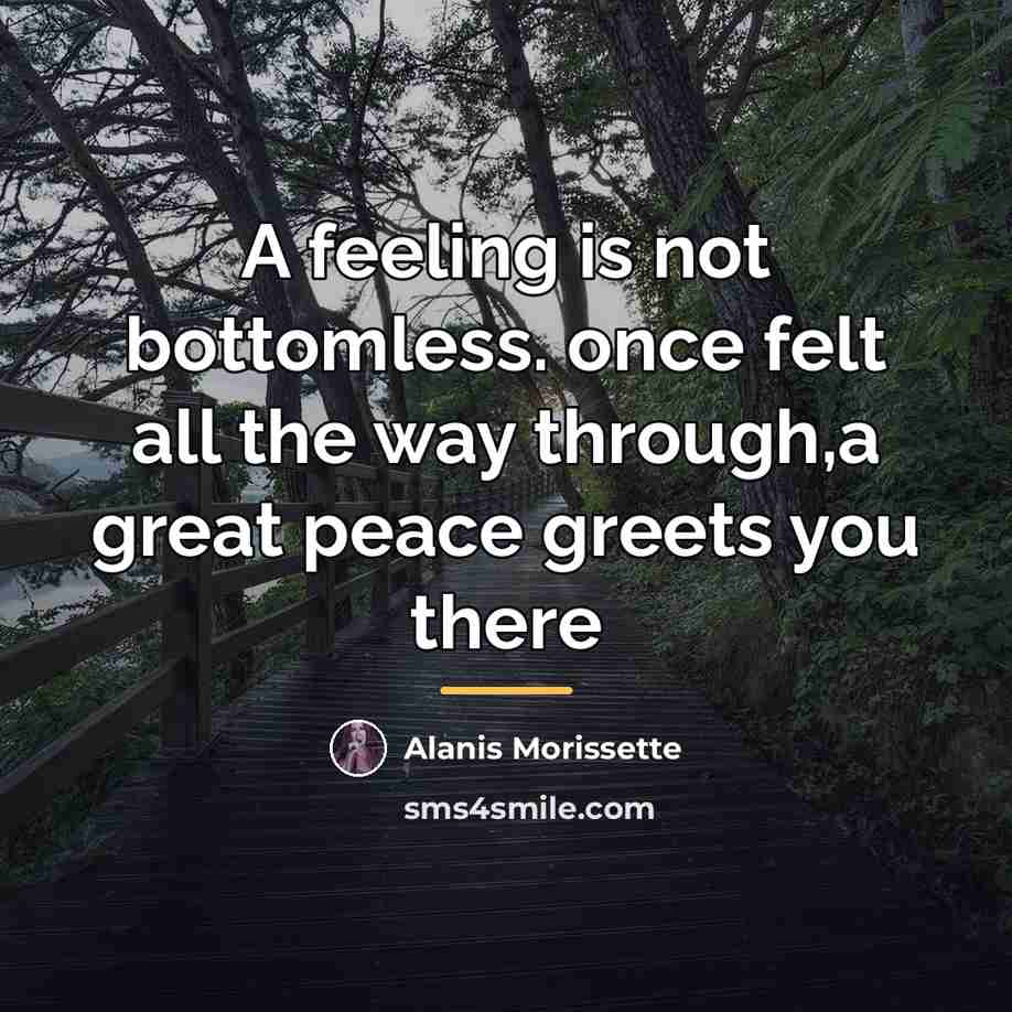 “A feeling is not bottomless. once felt all the way…” quote by Alanis Morissette