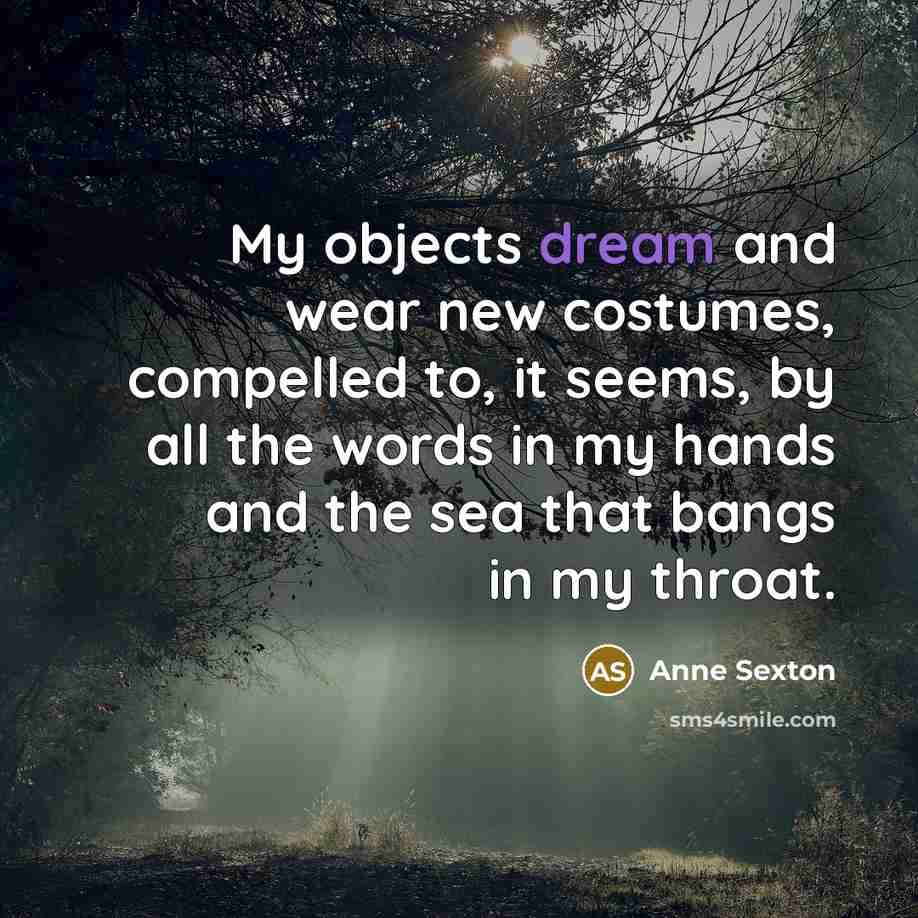 “My objects dream and wear new costumes, compelled to, it…” quote by Anne Sexton