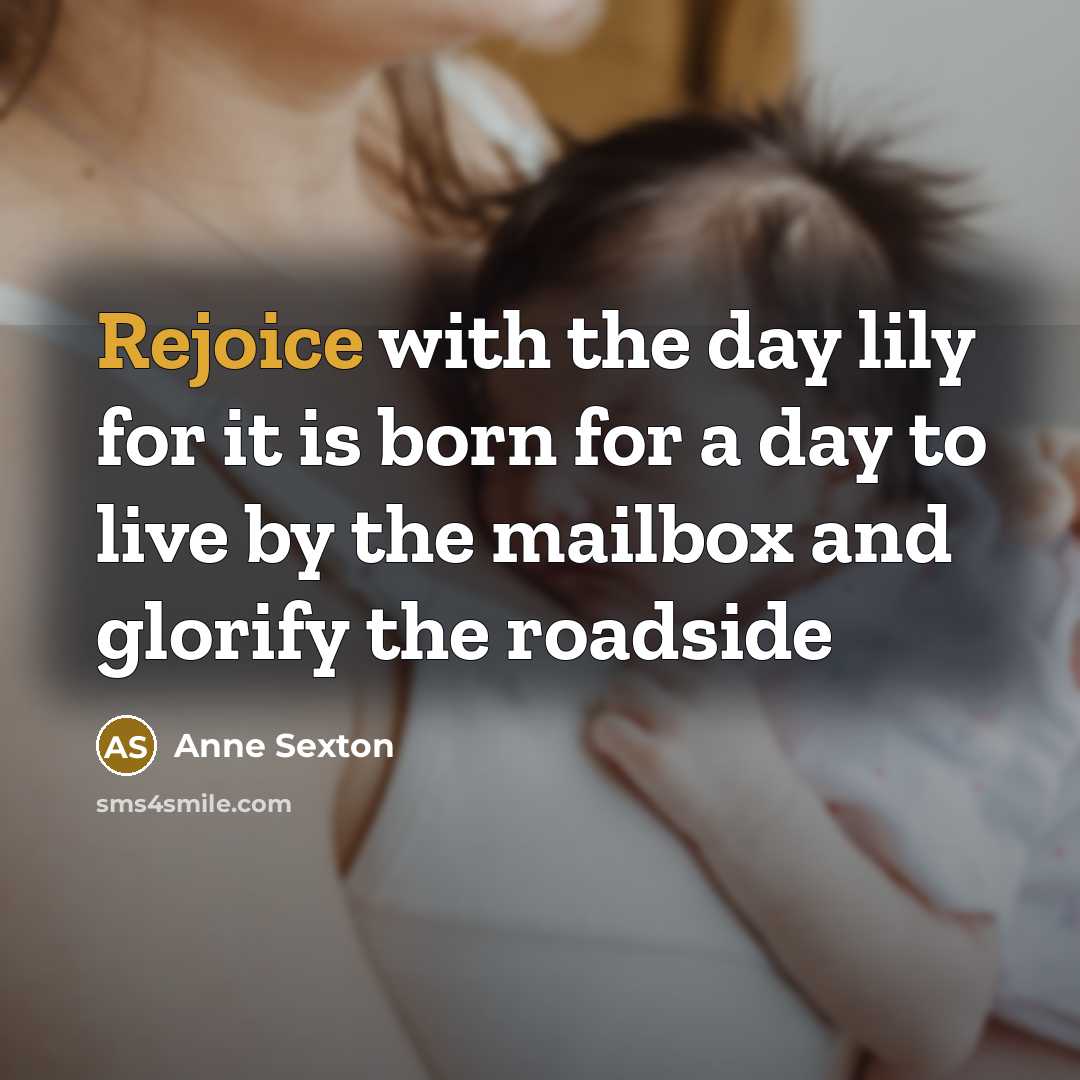 “Rejoice with the day lily for it is born for…” quote by Anne Sexton