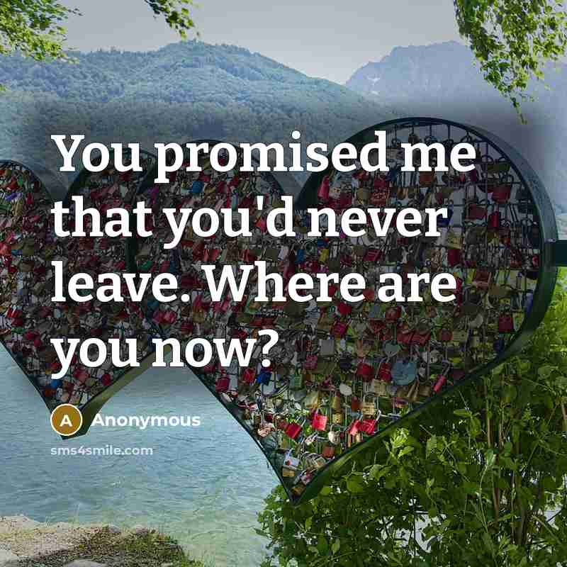“You promised me that you'd never leave. Where are you…” quote by Anonymous