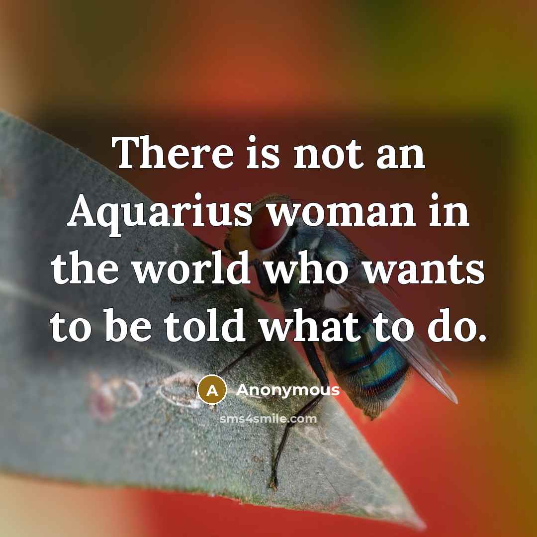 “There is not an Aquarius woman in the world who…” quote by Anonymous