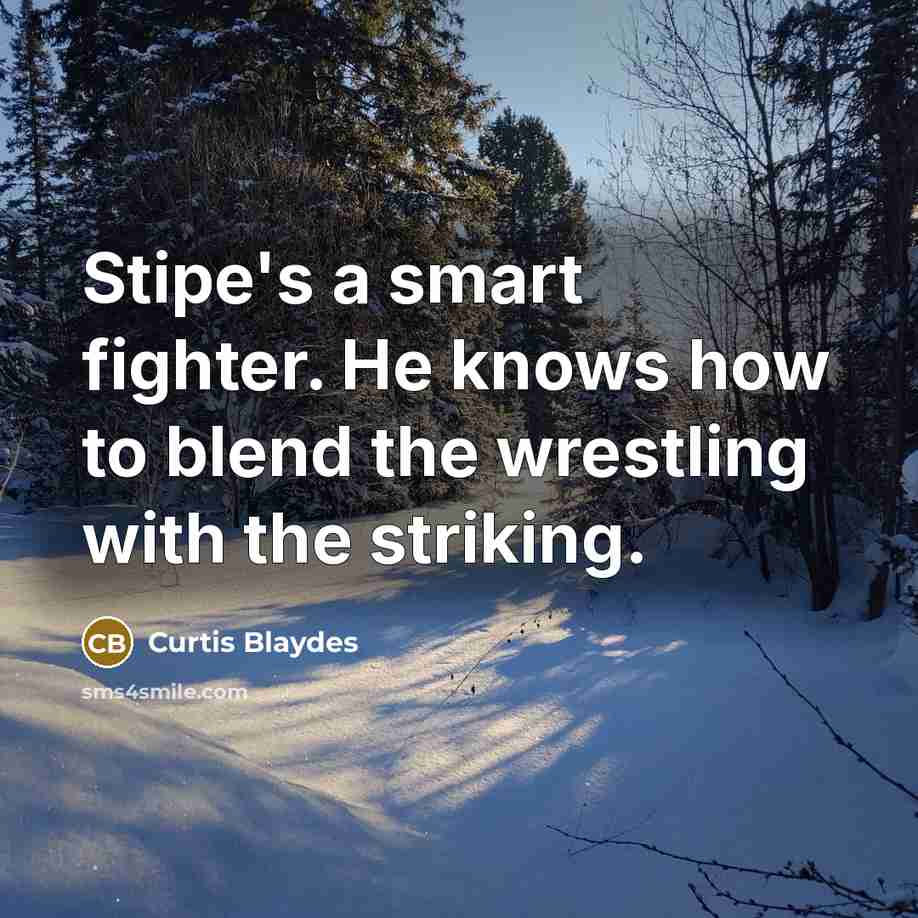 “Stipe's a smart fighter. He knows how to blend the…” quote by Curtis Blaydes