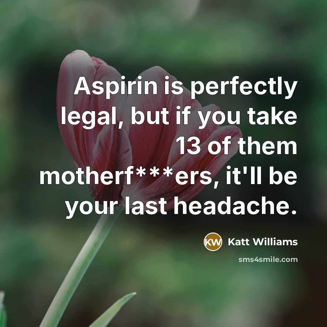 “Aspirin is perfectly legal, but if you take 13 of…” quote by Katt Williams
