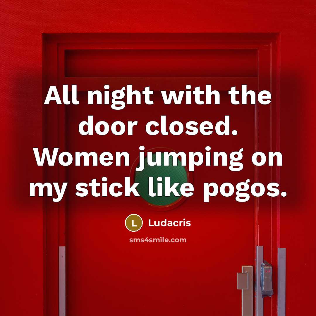 “All night with the door closed. Women jumping on my stick like pogos.” quote by Ludacris