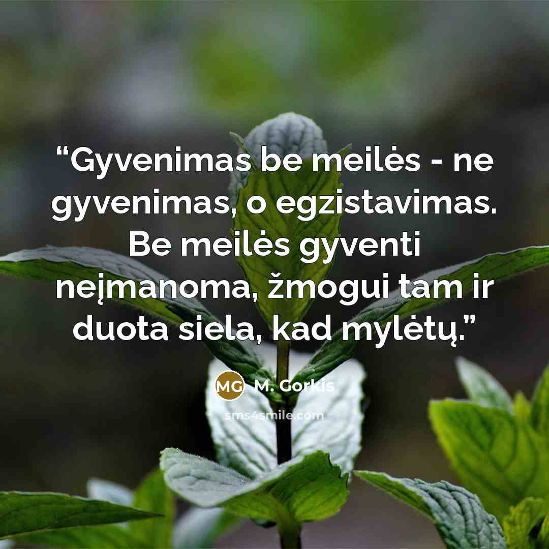 “Gyvenimas be meilės - ne gyvenimas, o egzistavimas. Be meilės gyventi neįmanoma, žmogui tam ir duota siela, kad mylėtų.” quote by M. Gorkis