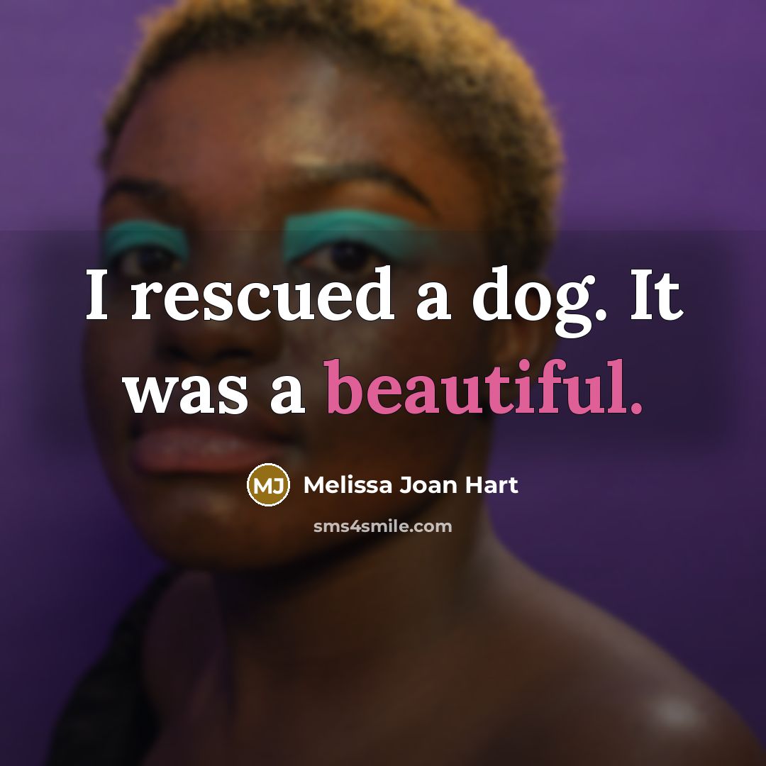 “I rescued a dog. It was a beautiful.…” quote by Melissa Joan Hart