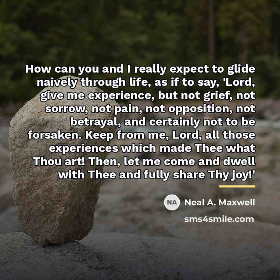 “How can you and I really expect to glide naively…” quote by Neal A. Maxwell