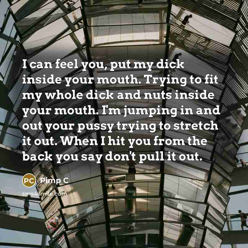 “I can feel you, put my dick inside your mouth.…” quote by Pimp C