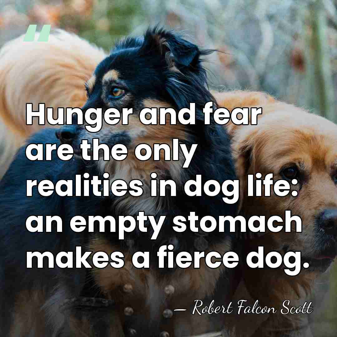 Hunger and fear are the only realities in dog life: an empty&hellip; - Robert Falcon Scott