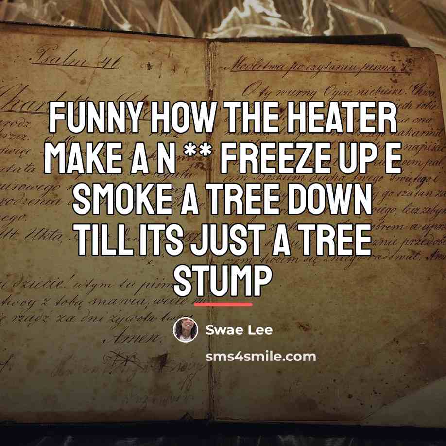 “Funny How The Heater Make A N ** Freeze Up…” quote by Swae Lee