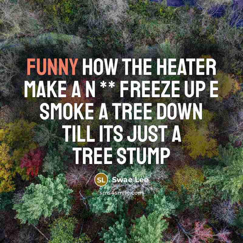 “Funny How The Heater Make A N ** Freeze Up E Smoke A tree Down Till ITS just A Tree Stump” quote by Swae Lee