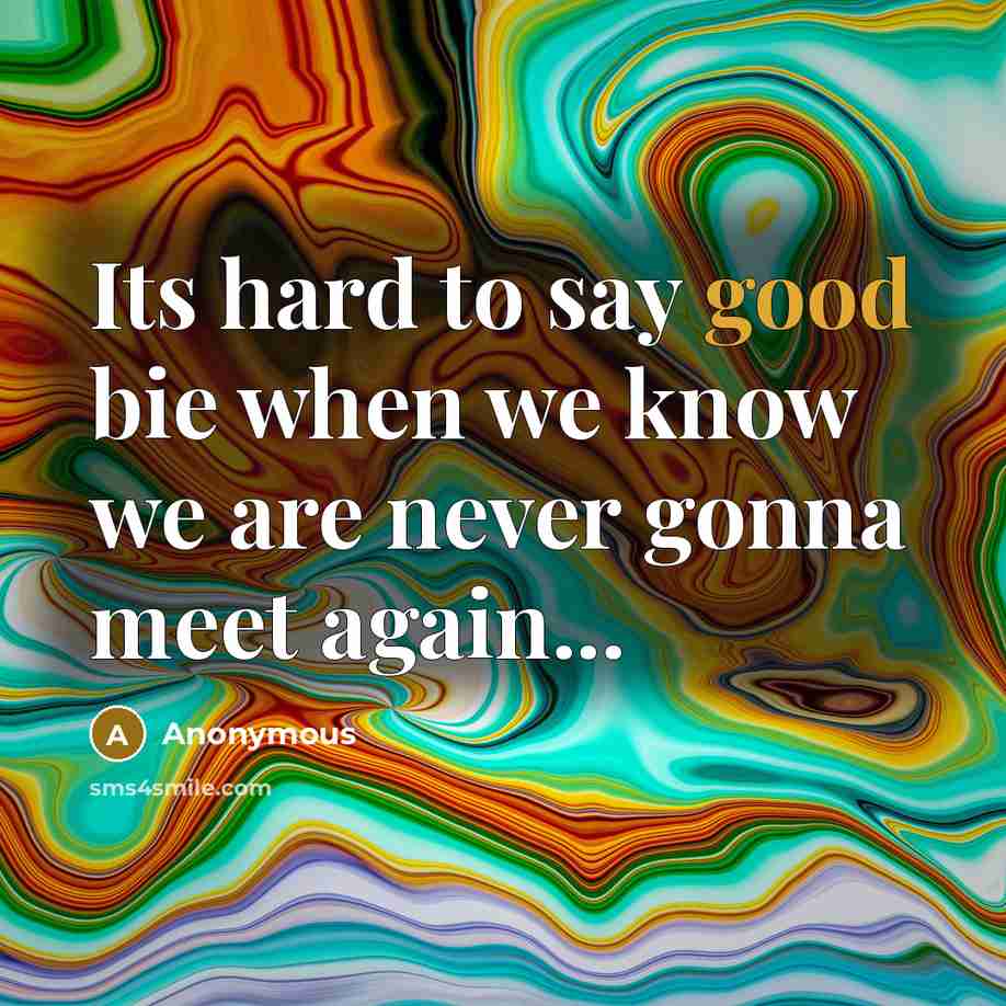“Its hard to say good bie when we know we are never gonna meet again...” quote by Anonymous