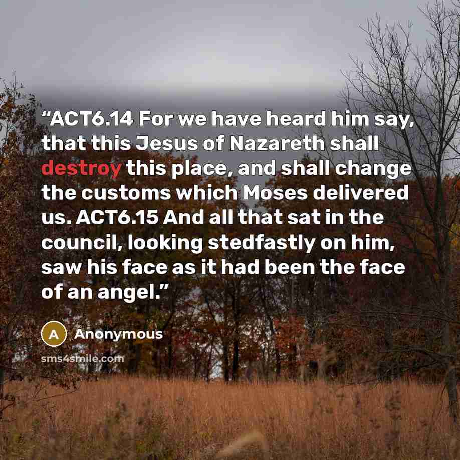 “ACT6.14 For we have heard him say, that this Jesus of Nazareth shall destroy this place, and shall change the customs which Moses delivered us. ACT6.15 And all that sat in the council, looking stedfastly on him, saw his face as it had been the face of an angel.” quote by Anonymous