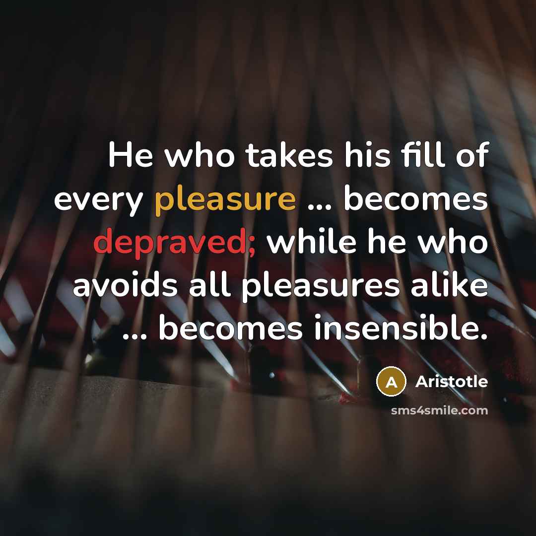 “He who takes his fill of every pleasure ... becomes…” quote by Aristotle