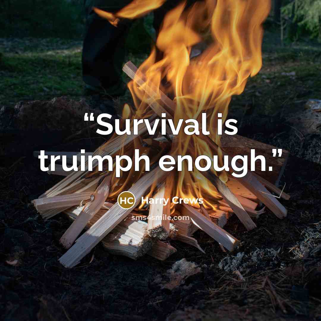 “Survival is truimph enough.” quote by Harry Crews