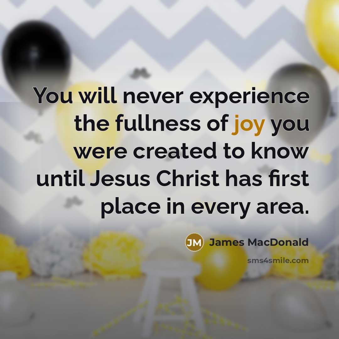 “You will never experience the fullness of joy you were…” quote by James MacDonald