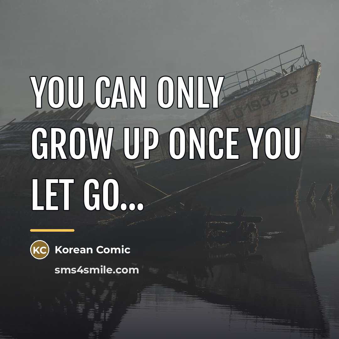 “You can only grow up once you let go...…” quote by Korean Comic