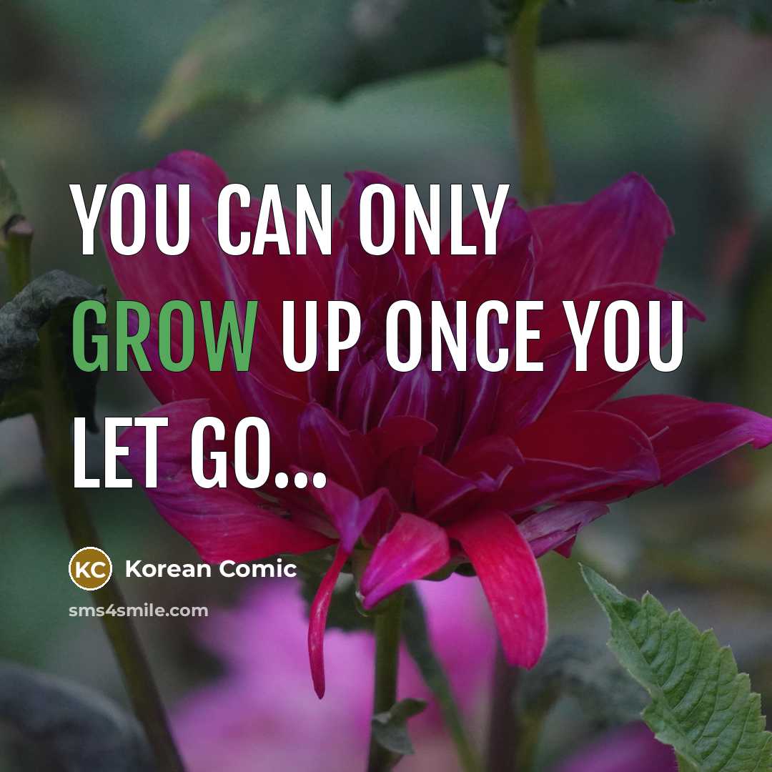 “You can only grow up once you let go...” quote by Korean Comic